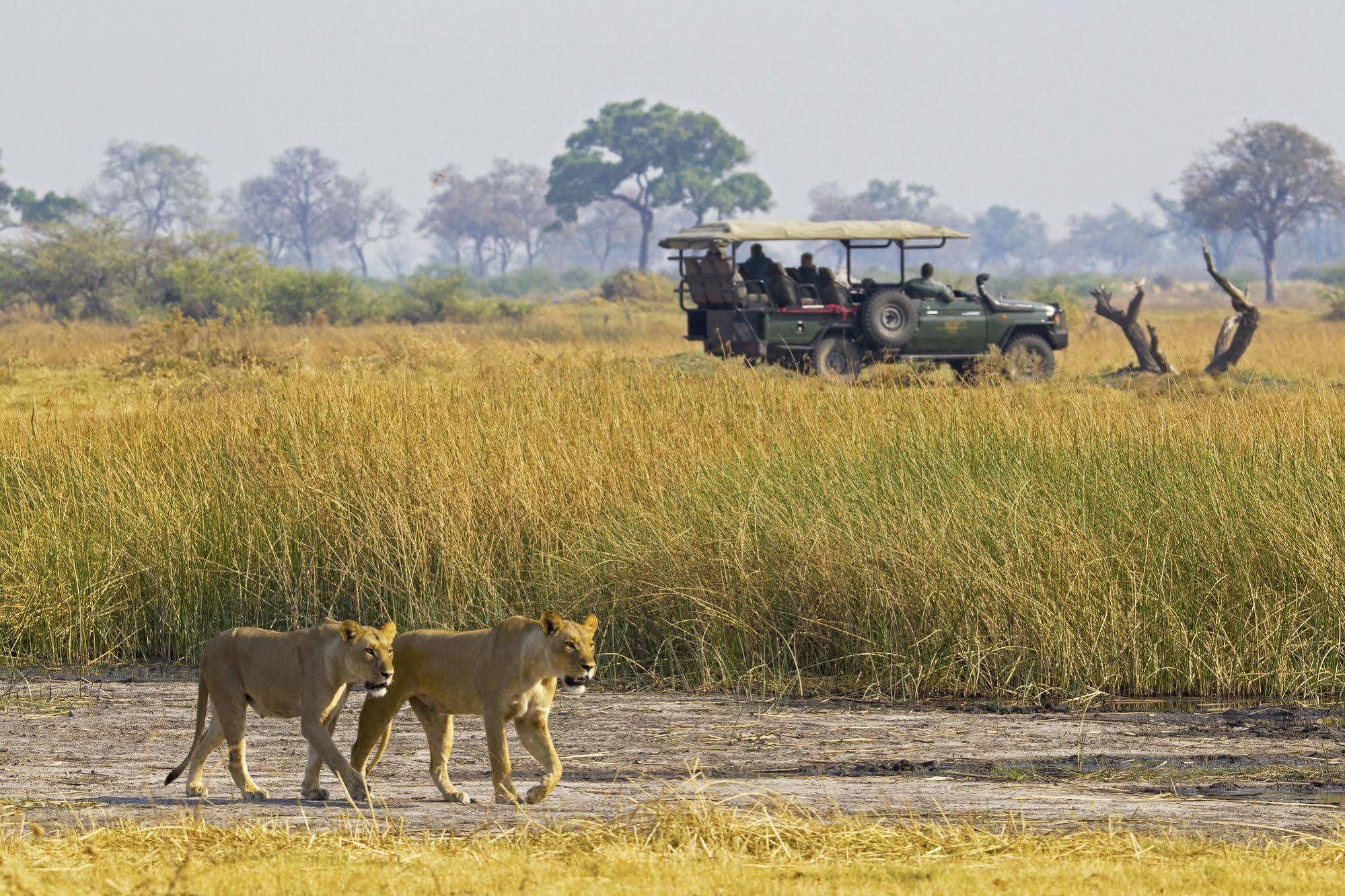 Selinda Camp Hotel Selinda Reserve Buitenkant foto