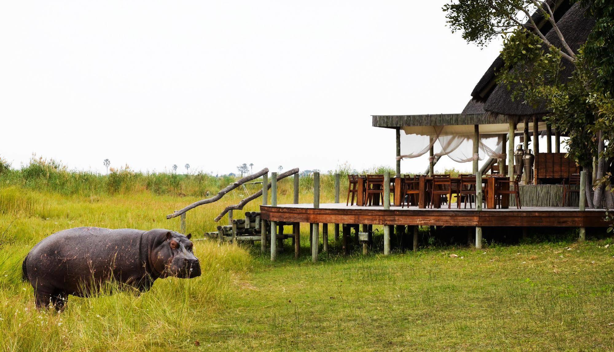 Selinda Camp Hotel Selinda Reserve Buitenkant foto