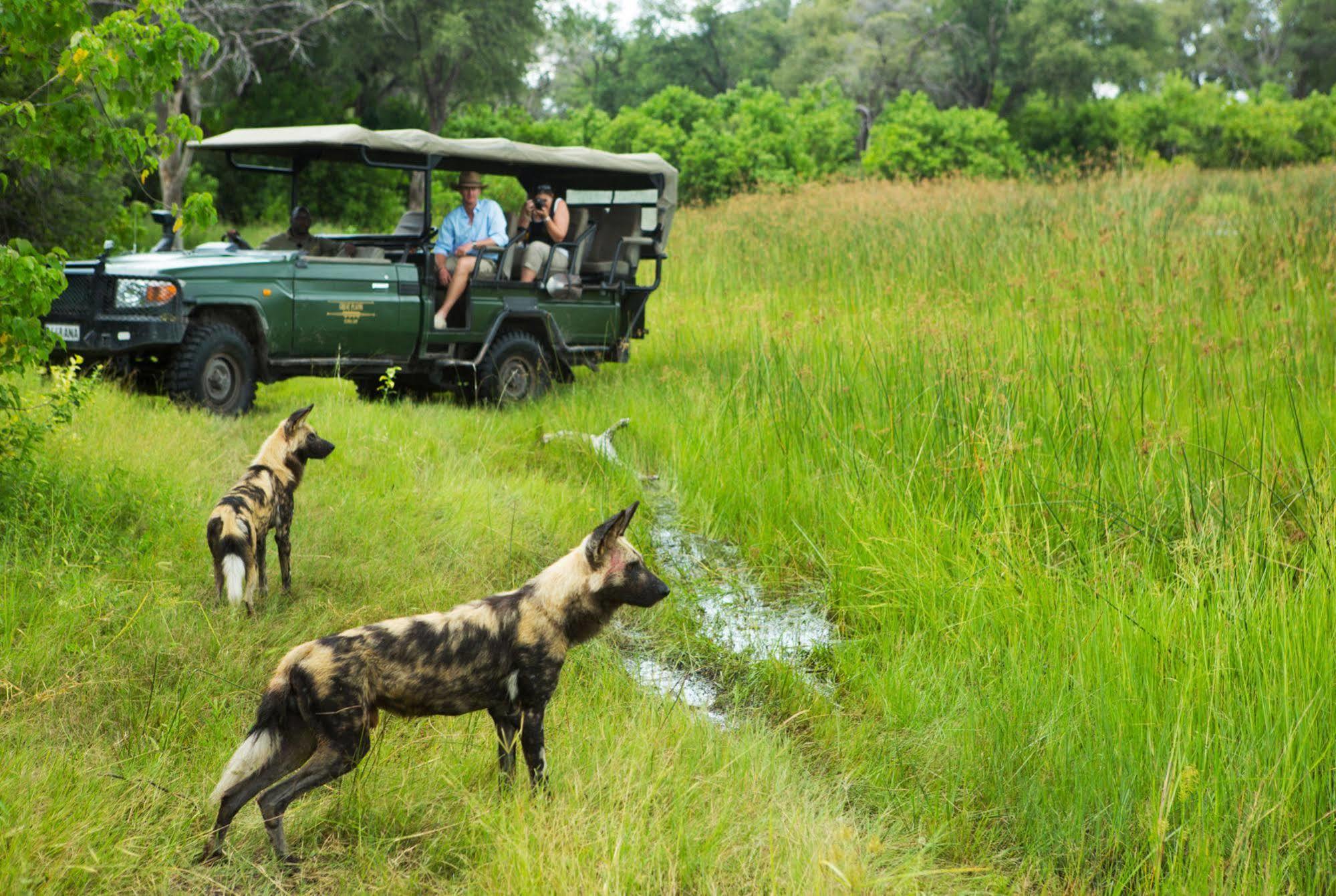 Selinda Camp Hotel Selinda Reserve Buitenkant foto